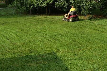 Yardwork Mowing the lawnの写真素材