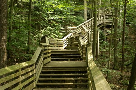 Woodland stepsの写真素材
