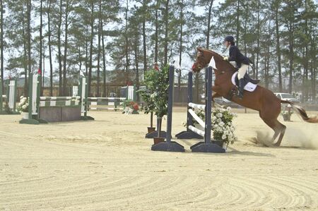 Horse and rider competing in  horse showの写真素材