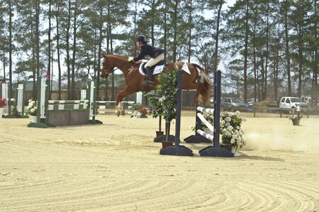Horse and rider competing in horse showの写真素材
