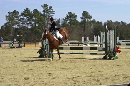 horse and rider competing at a horse showの写真素材