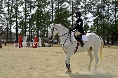 A horse and rider team at a horse showの写真素材