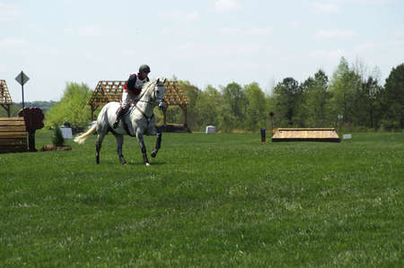 A horse and rider competing in an eventの写真素材