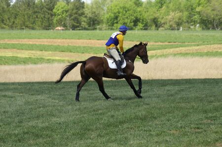 A horse and rider competing in a raceの写真素材