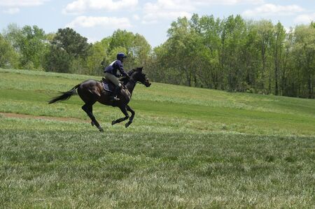 A horse and rider competing in an eventの写真素材