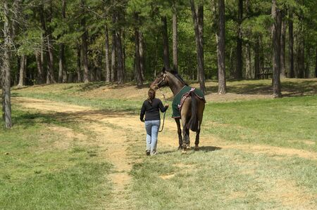 A girl walking her horse down a pathの写真素材