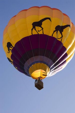 An image of a multicolored hot air balloonの写真素材