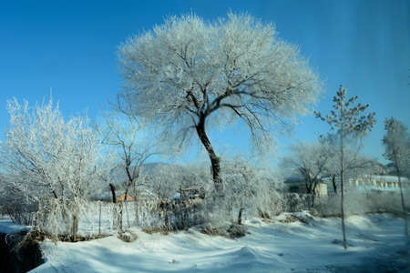 Scenery in the winterの写真素材