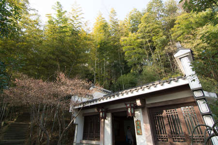 ancient architecture in the forestのeditorial素材