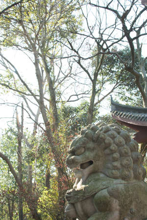 stone lionの写真素材
