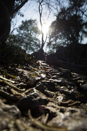 Mountainの写真素材