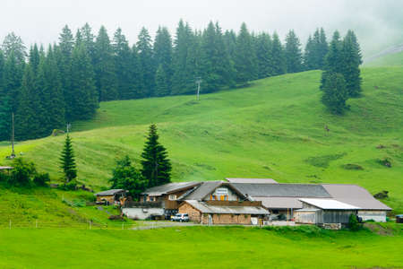 Mid yard and pastureのeditorial素材