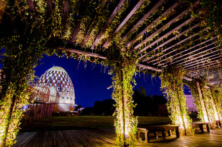 Forest Songのeditorial素材