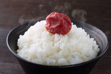 Rice and umeboshiの写真素材