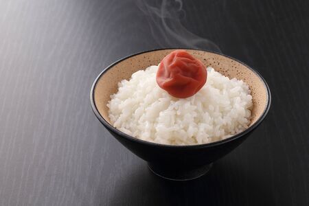 Rice and umeboshiの写真素材