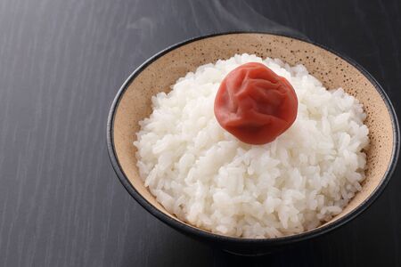 Rice and umeboshiの写真素材