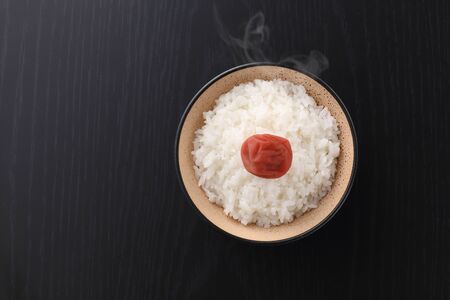 Rice and umeboshiの写真素材