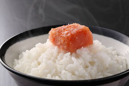 Rice and Spicy Mingakoの写真素材