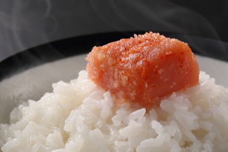 Rice and Spicy Mingakoの写真素材