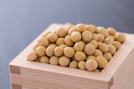 Soybeanの写真素材
