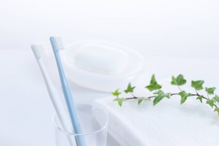 Toilet Toothbrushの写真素材