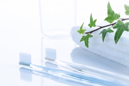 Toilet toothbrush and towelの写真素材