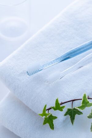 Toilet toothbrush and towelの写真素材
