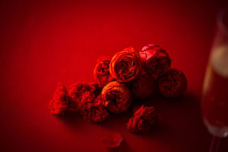 Arrangement of rosesの写真素材