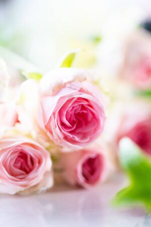 Aromatherapy Imagesの写真素材