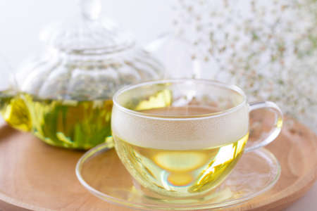 Herb Tea to Chamomile Teaの写真素材