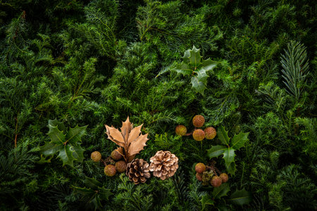 Christmas and New Year background with pine cones, holly leaves and fir branches