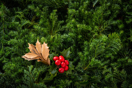 Christmas decoration with holly berry and golden leaves on green background
