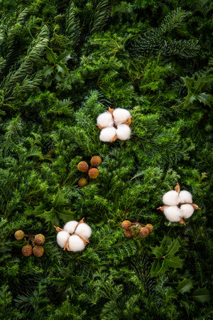 Cotton bolls on evergreen branches in the shape of letter Q