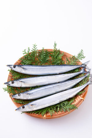 Fish in a basket on a white background. Seafood.