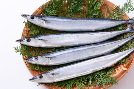 Close-up of fresh mackerel fish on white background.