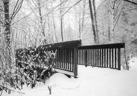 Picture of snow covered trees and a wooden walking bridge over creek
