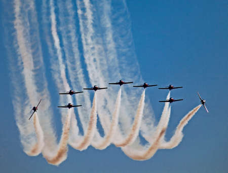 Canadian Snow Birdsのeditorial素材