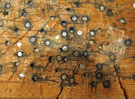 Nails nailed into split wood stumpの写真素材