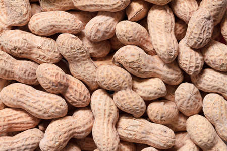 Peanut background