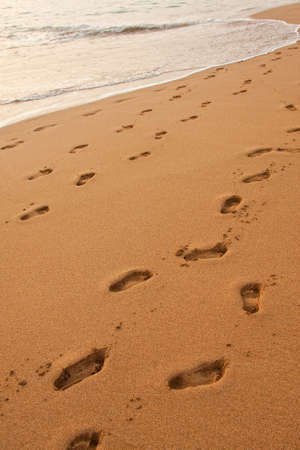 Sandy beachの写真素材