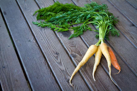 Carrots fresh from farmerの写真素材