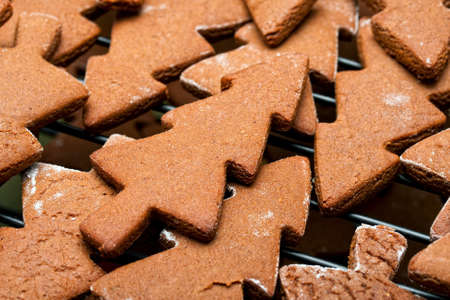 Gingerbread Christmas Tree cookiesの写真素材