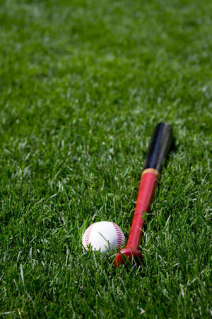 Baseball and bat in grassの写真素材