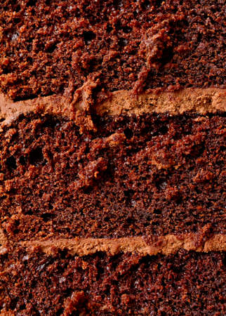 Chocolate cake textureの写真素材