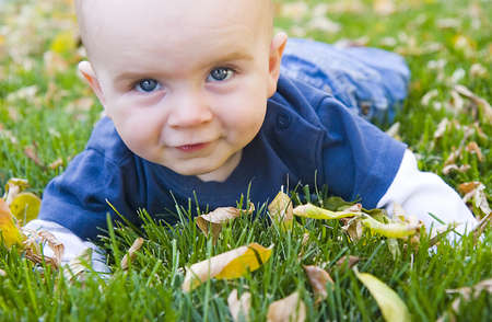 Boy in fall leavesの写真素材