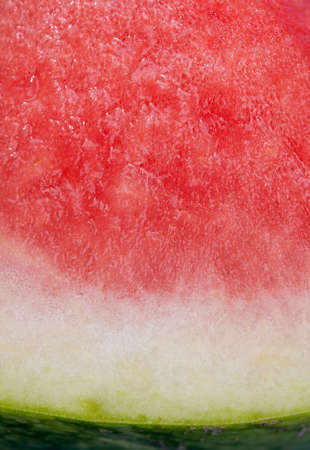 Watermelonの写真素材