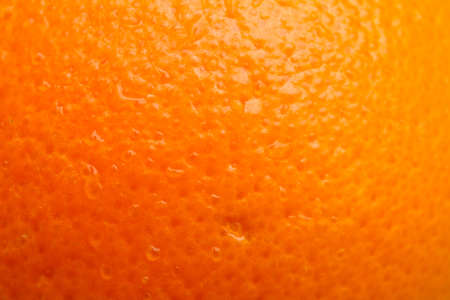 Orangeの写真素材