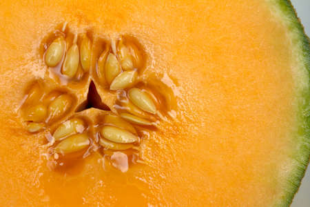 Cantaloupeの写真素材