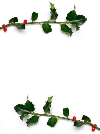 Christmas holly frameの写真素材