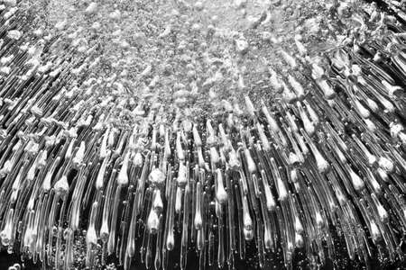 Ice stormの写真素材